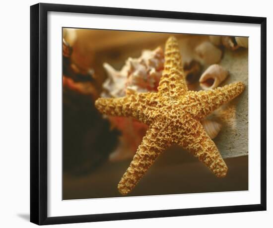 Starfish I-Philip Clayton-thompson-Framed Photo