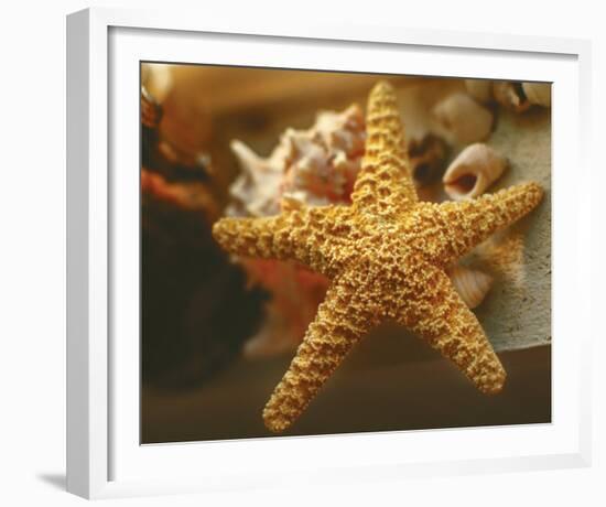 Starfish I-Philip Clayton-thompson-Framed Photo