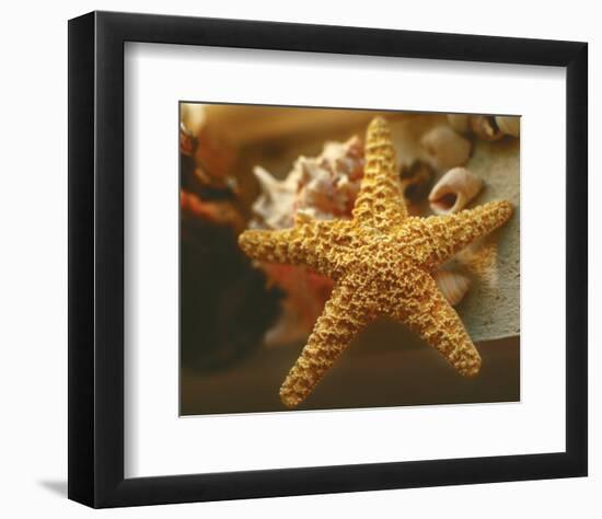 Starfish I-Philip Clayton-thompson-Framed Photo