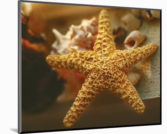 Starfish I-Philip Clayton-thompson-Mounted Photo