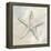 Starfish I-Yvette St. Amant-Framed Stretched Canvas