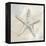 Starfish I-Yvette St. Amant-Framed Stretched Canvas