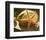 Starfish II-Philip Clayton-thompson-Framed Photo