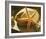 Starfish II-Philip Clayton-thompson-Framed Photo