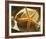 Starfish II-Philip Clayton-thompson-Framed Photo