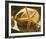 Starfish II-Philip Clayton-thompson-Framed Photo