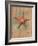 Starfish II-Lanie Loreth-Framed Art Print