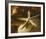 Starfish III-Philip Clayton-thompson-Framed Photo