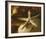 Starfish III-Philip Clayton-thompson-Framed Photo