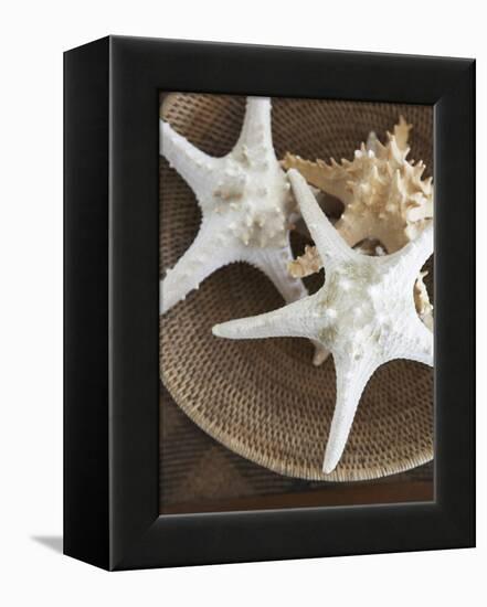 Starfish in a basket-Felix Wirth-Framed Premier Image Canvas