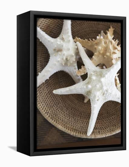 Starfish in a basket-Felix Wirth-Framed Premier Image Canvas