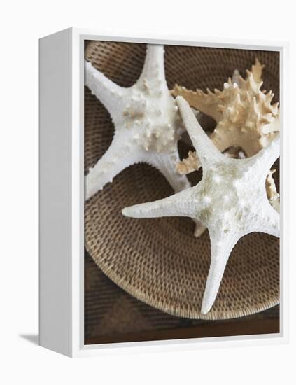 Starfish in a basket-Felix Wirth-Framed Premier Image Canvas