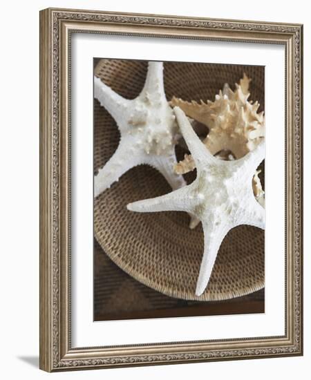 Starfish in a basket-Felix Wirth-Framed Photographic Print