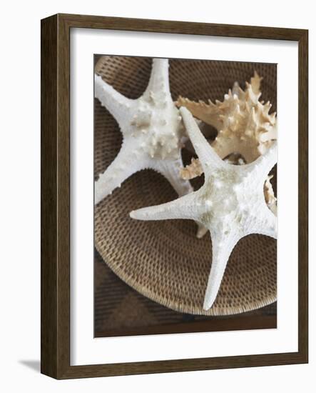 Starfish in a basket-Felix Wirth-Framed Photographic Print