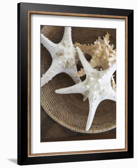 Starfish in a basket-Felix Wirth-Framed Photographic Print