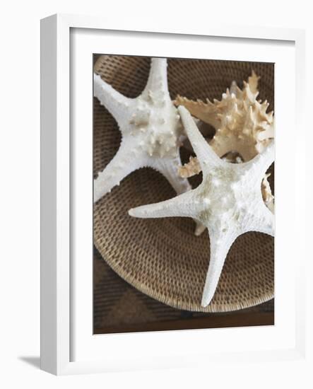 Starfish in a basket-Felix Wirth-Framed Photographic Print