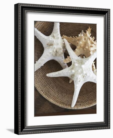 Starfish in a basket-Felix Wirth-Framed Photographic Print