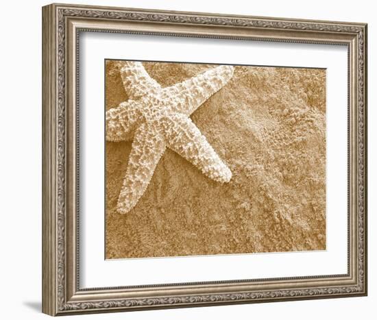 Starfish in the Sand-null-Framed Art Print