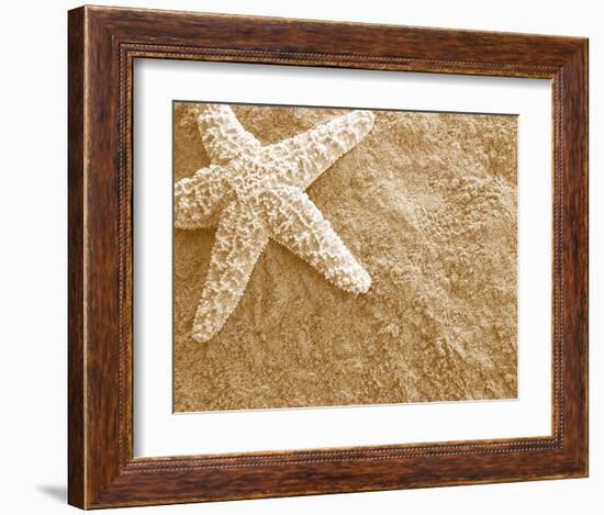 Starfish in the Sand-null-Framed Art Print