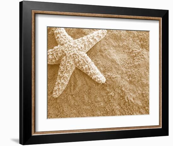 Starfish in the Sand-null-Framed Art Print