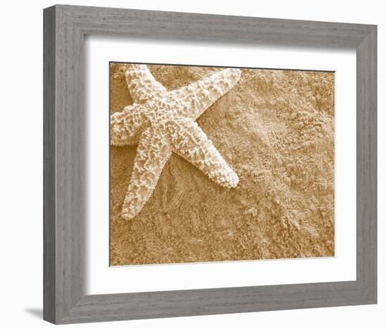 Starfish in the Sand-null-Framed Art Print