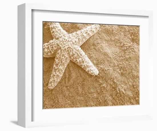 Starfish in the Sand-null-Framed Art Print