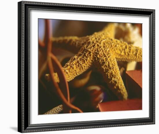 Starfish IV-Philip Clayton-thompson-Framed Photo