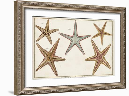 Starfish Naturelle I-Denis Diderot-Framed Art Print