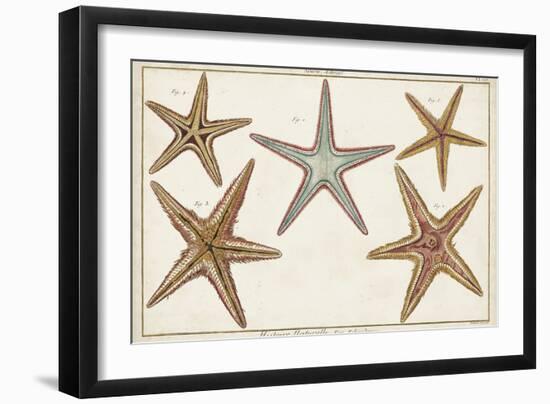 Starfish Naturelle I-Denis Diderot-Framed Art Print