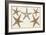 Starfish Naturelle I-Denis Diderot-Framed Art Print