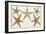 Starfish Naturelle I-Denis Diderot-Framed Art Print