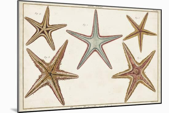 Starfish Naturelle I-Denis Diderot-Mounted Art Print