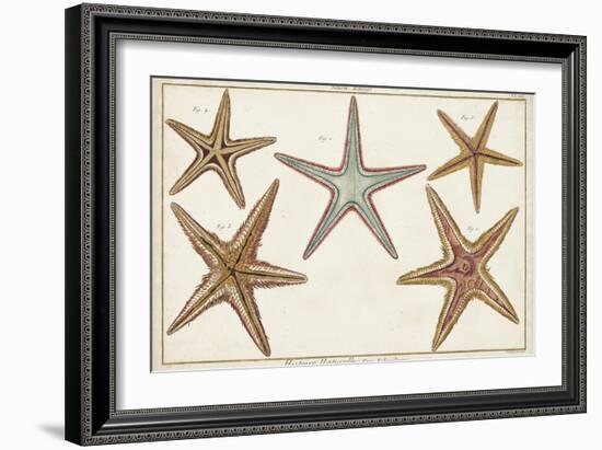 Starfish Naturelle I-Denis Diderot-Framed Art Print