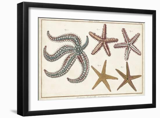 Starfish Naturelle II-Denis Diderot-Framed Art Print