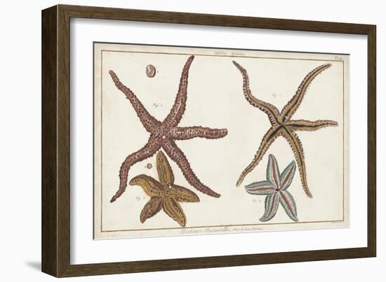 Starfish Naturelle III-Denis Diderot-Framed Art Print