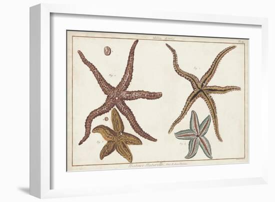 Starfish Naturelle III-Denis Diderot-Framed Art Print