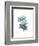 Starfish Ombre 1-Albert Koetsier-Framed Art Print