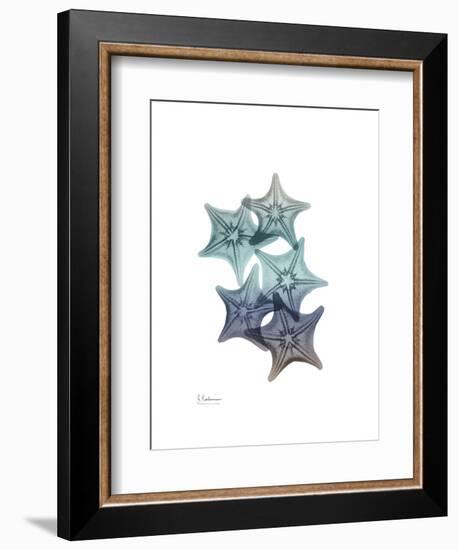 Starfish Ombre 1-Albert Koetsier-Framed Art Print