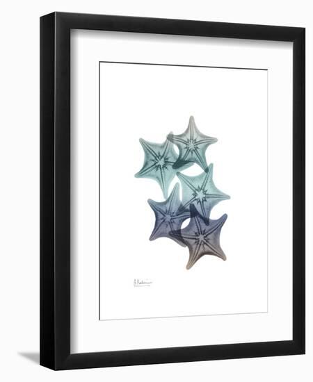 Starfish Ombre 1-Albert Koetsier-Framed Art Print