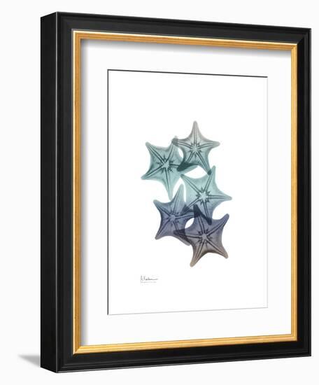 Starfish Ombre 1-Albert Koetsier-Framed Art Print