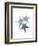 Starfish Ombre 2-Albert Koetsier-Framed Art Print