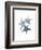 Starfish Ombre 2-Albert Koetsier-Framed Art Print