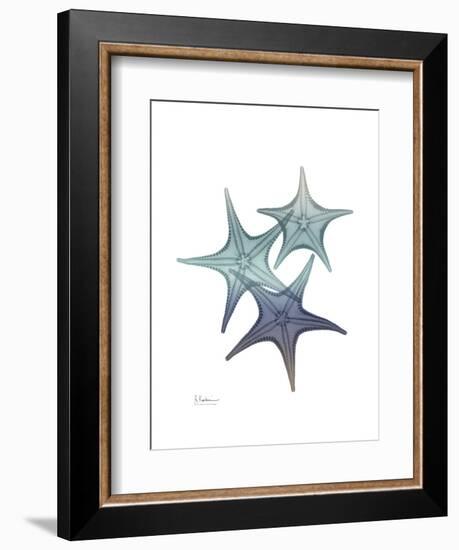 Starfish Ombre 2-Albert Koetsier-Framed Art Print