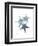 Starfish Ombre 2-Albert Koetsier-Framed Art Print