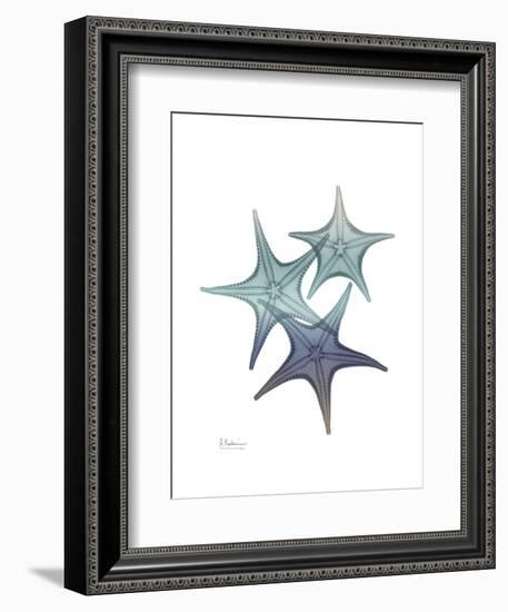 Starfish Ombre 2-Albert Koetsier-Framed Art Print