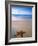 Starfish on Beach, Maldives-Peter Adams-Framed Photographic Print