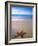 Starfish on Beach, Maldives-Peter Adams-Framed Photographic Print