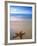 Starfish on Beach, Maldives-Peter Adams-Framed Photographic Print