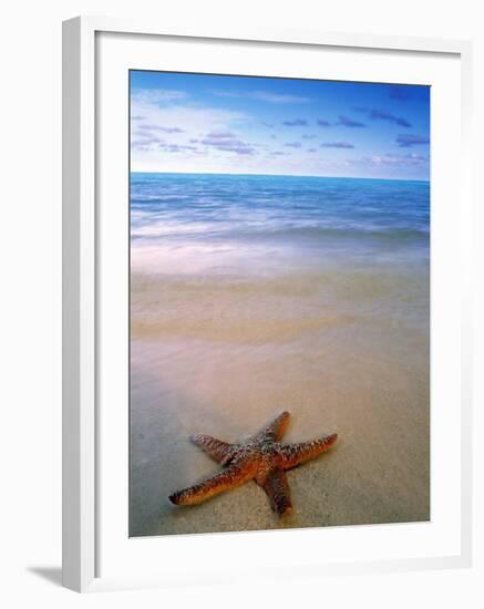 Starfish on Beach, Maldives-Peter Adams-Framed Photographic Print