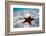 Starfish on beach-null-Framed Photographic Print